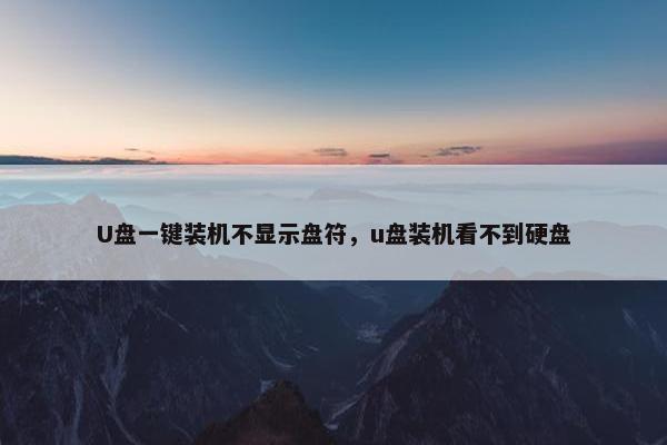 U盘一键装机不显示盘符，u盘装机看不到硬盘