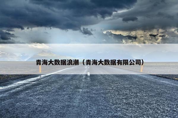 青海大数据浪潮（青海大数据有限公司）