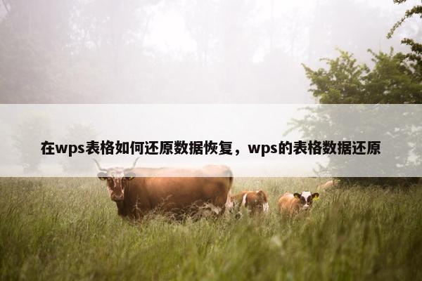 在wps表格如何还原数据恢复,wps的表格数据还原