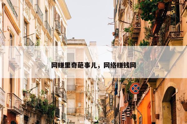 网赚里奇葩事儿,网络赚钱网