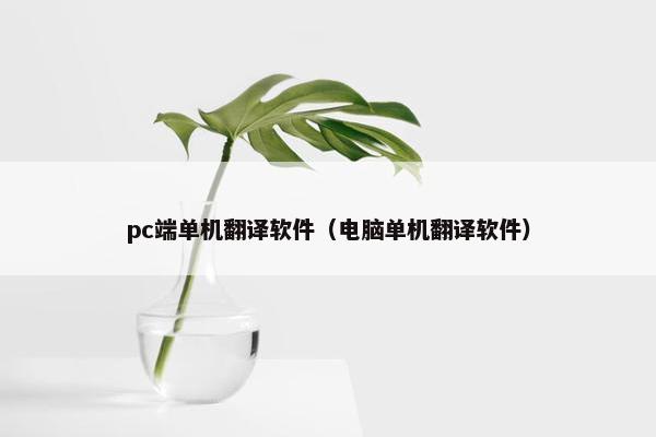 pc端单机翻译软件(电脑单机翻译软件)