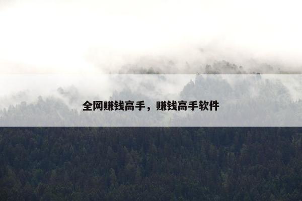 全网赚钱高手，赚钱高手软件