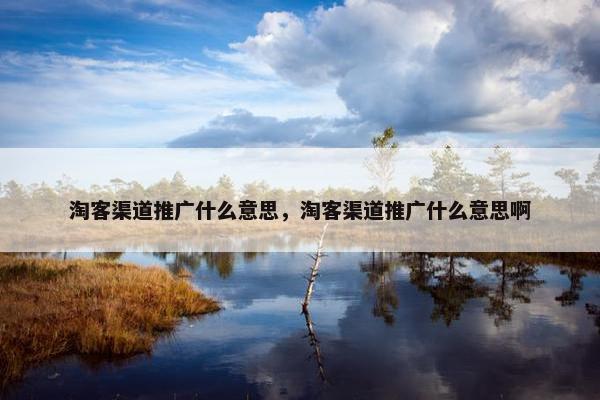 淘客渠道推广什么意思，淘客渠道推广什么意思啊