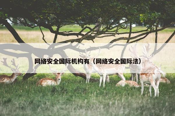 网络安全国际机构有(网络安全国际法)