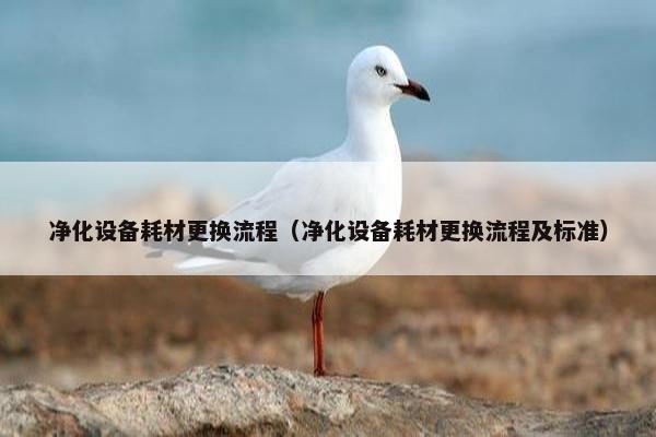净化设备耗材更换流程（净化设备耗材更换流程及标准）