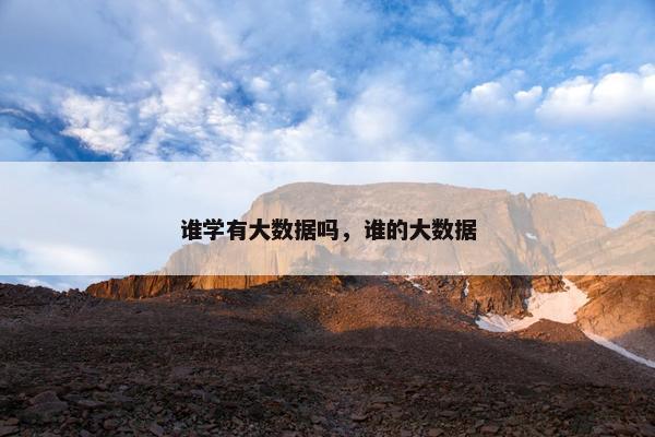 谁学有大数据吗，谁的大数据