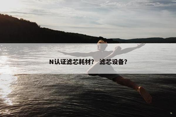 N认证滤芯耗材？ 滤芯设备？