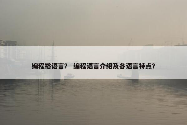 编程裕语言？ 编程语言介绍及各语言特点？