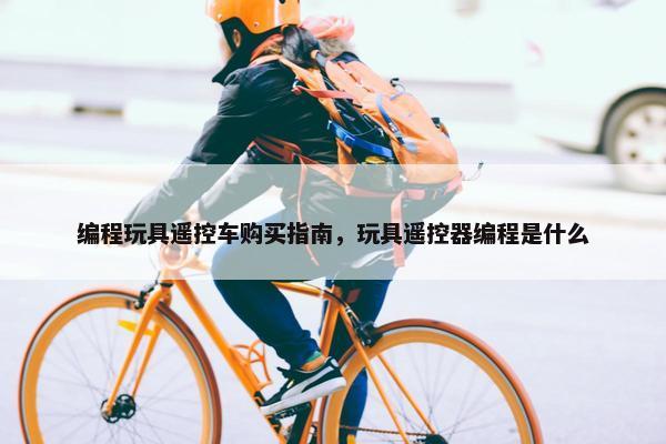 编程玩具遥控车购买指南，玩具遥控器编程是什么