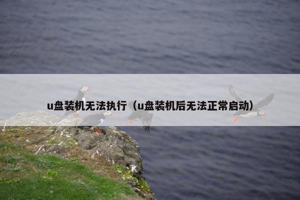 u盘装机无法执行（u盘装机后无法正常启动）