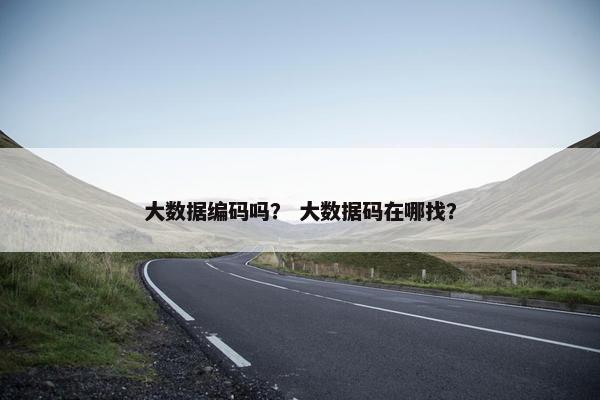 大数据编码吗？ 大数据码在哪找？