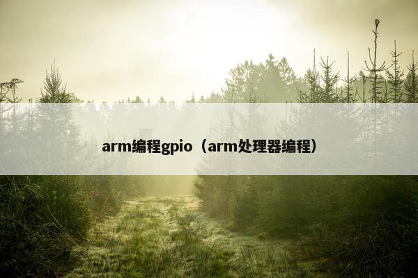 arm编程gpio（arm处理器编程）