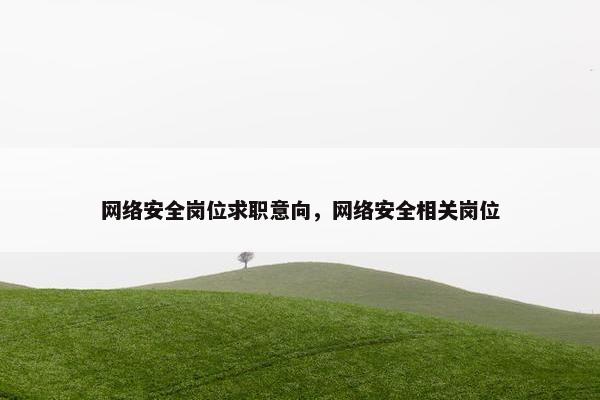 网络安全岗位求职意向，网络安全相关岗位