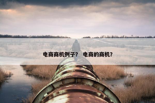 电商商机例子？ 电商的商机？
