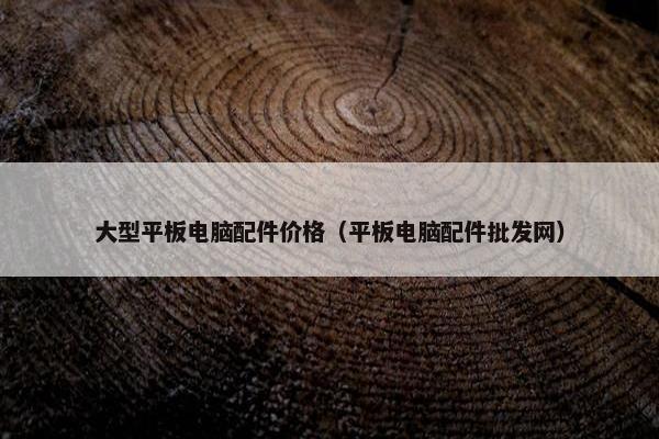 大型平板电脑配件价格（平板电脑配件批发网）