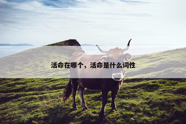 活命在哪个，活命是什么词性
