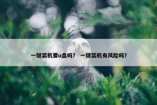 一键装机要u盘吗？ 一键装机有风险吗？