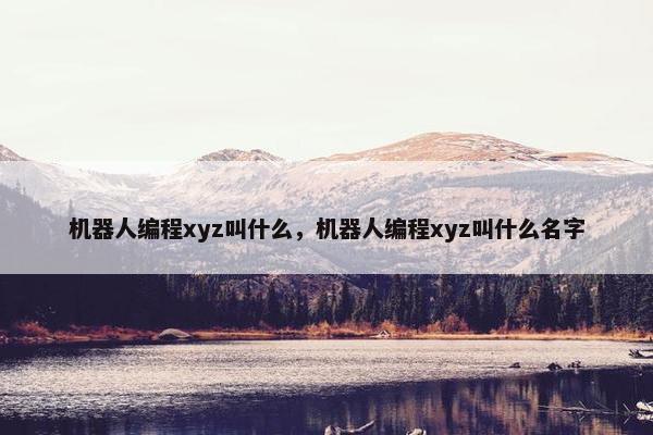 机器人编程xyz叫什么，机器人编程xyz叫什么名字