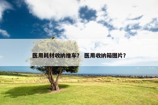 医用耗材收纳推车？ 医用收纳箱图片？