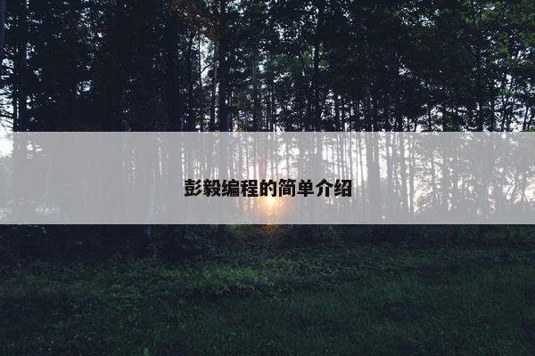 彭毅编程的简单介绍