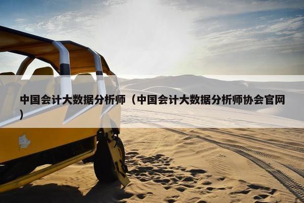 中国会计大数据分析师（中国会计大数据分析师协会官网）