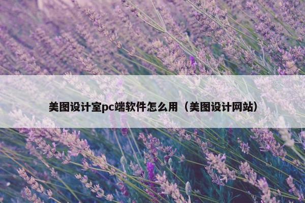 美图设计室pc端软件怎么用（美图设计网站）