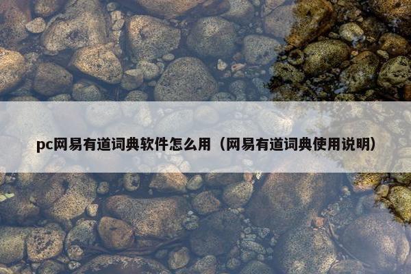 pc网易有道词典软件怎么用（网易有道词典使用说明）