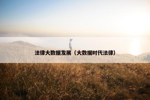 法律大数据发展（大数据时代法律）