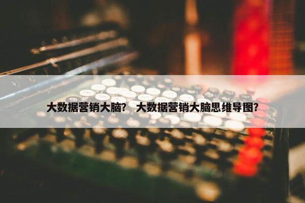 大数据营销大脑？ 大数据营销大脑思维导图？