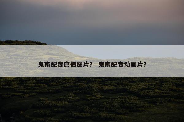 鬼畜配音唐僧图片？ 鬼畜配音动画片？