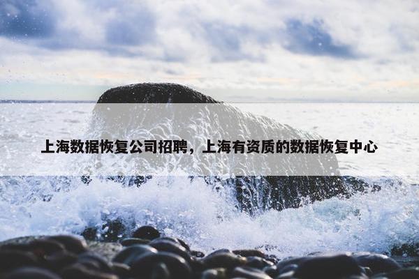 上海数据恢复公司招聘，上海有资质的数据恢复中心