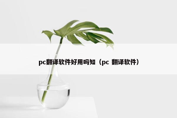 pc翻译软件好用吗知（pc 翻译软件）