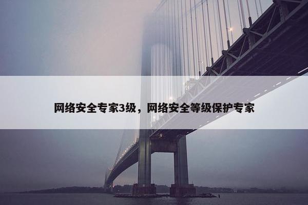 网络安全专家3级，网络安全等级保护专家