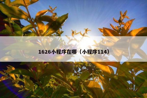 1626小程序在哪（小程序114）