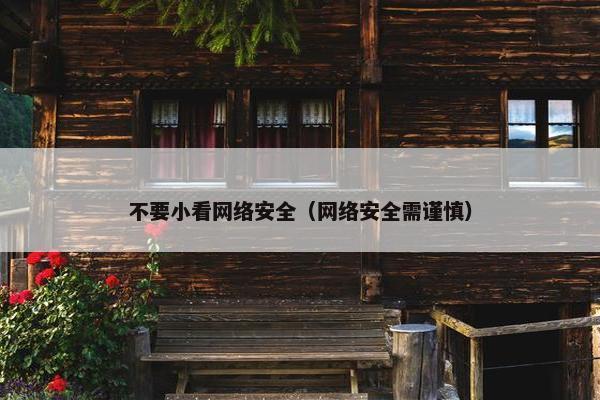 不要小看网络安全（网络安全需谨慎）