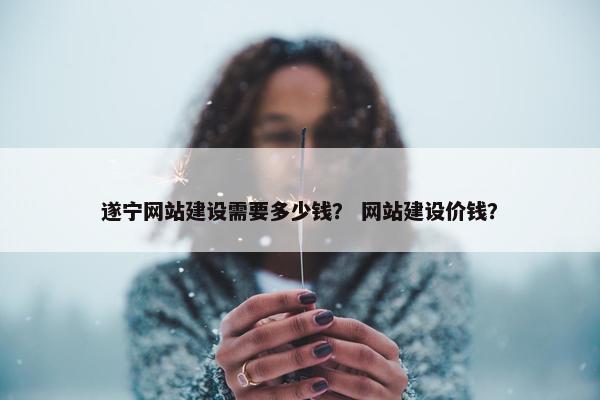 遂宁网站建设需要多少钱？ 网站建设价钱？