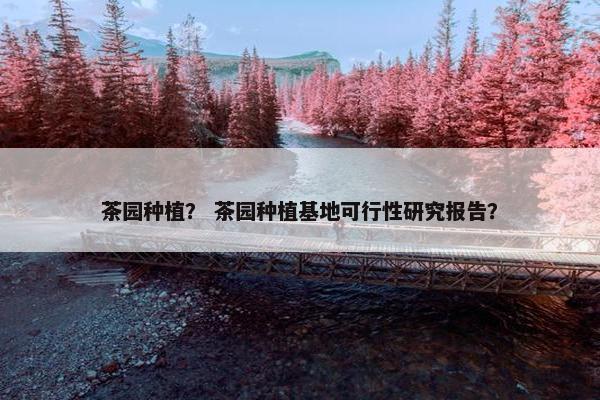 茶园种植？ 茶园种植基地可行性研究报告？