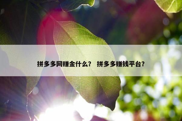 拼多多网赚金什么？ 拼多多赚钱平台？