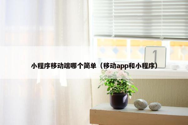 小程序移动端哪个简单(移动app和小程序)