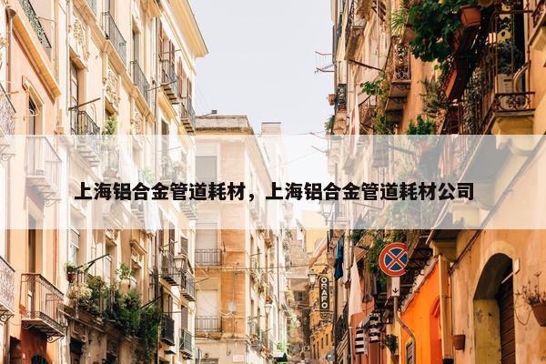 上海铝合金管道耗材，上海铝合金管道耗材公司