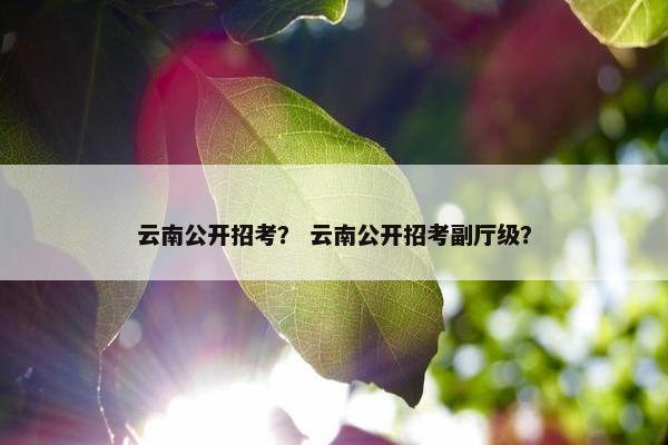 云南公开招考？ 云南公开招考副厅级？