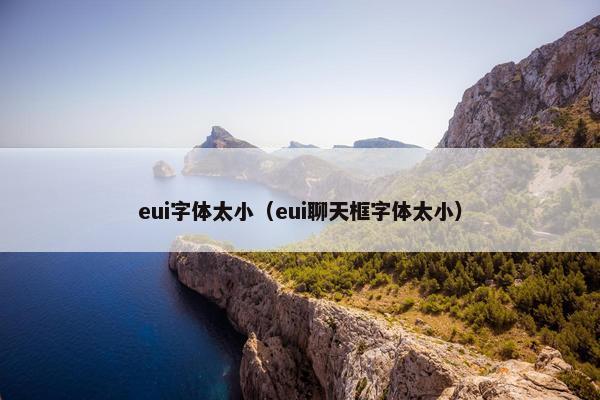 eui字体太小（eui聊天框字体太小）