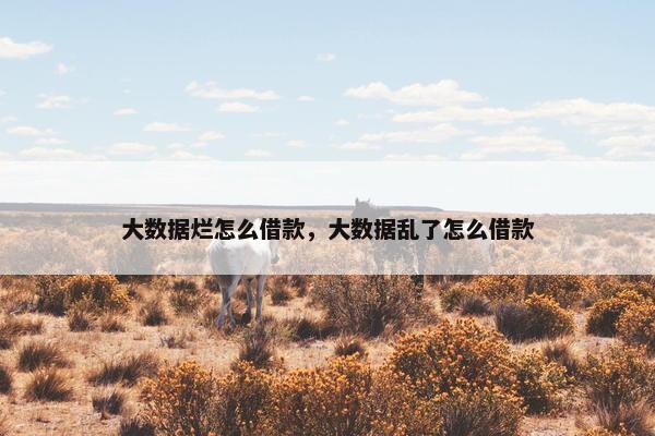大数据烂怎么借款，大数据乱了怎么借款
