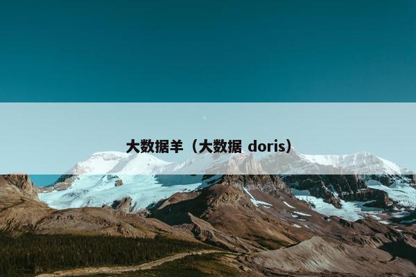 大数据羊（大数据 doris）