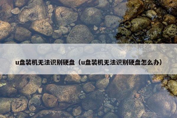 u盘装机无法识别硬盘（u盘装机无法识别硬盘怎么办）