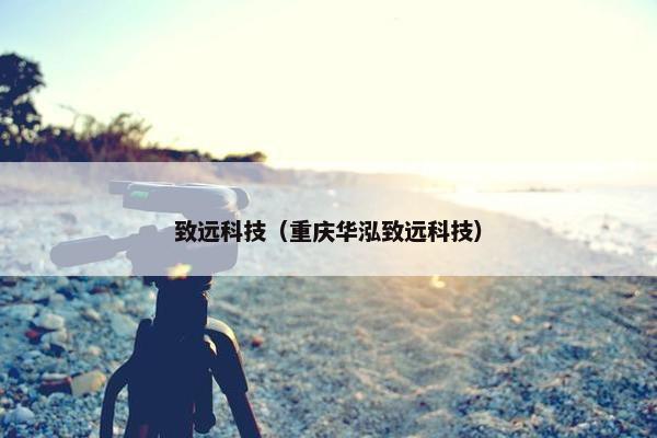 致远科技(重庆华泓致远科技)