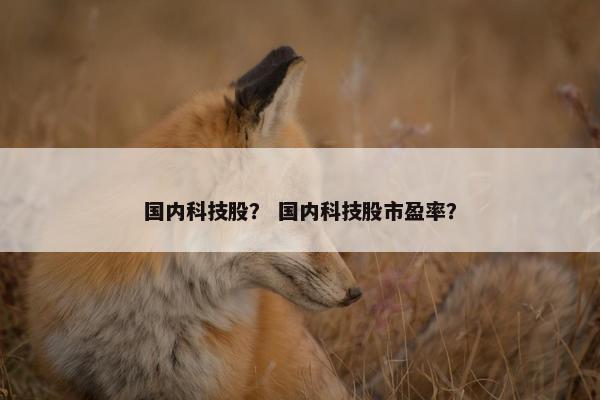 国内科技股？ 国内科技股市盈率？