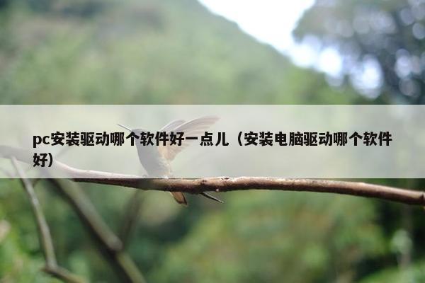 pc安装驱动哪个软件好一点儿（安装电脑驱动哪个软件好）