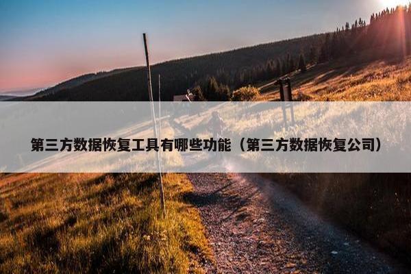 第三方数据恢复工具有哪些功能（第三方数据恢复公司）