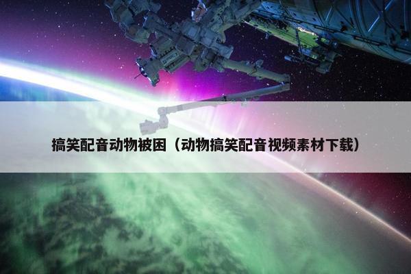 搞笑配音动物被困（动物搞笑配音视频素材下载）